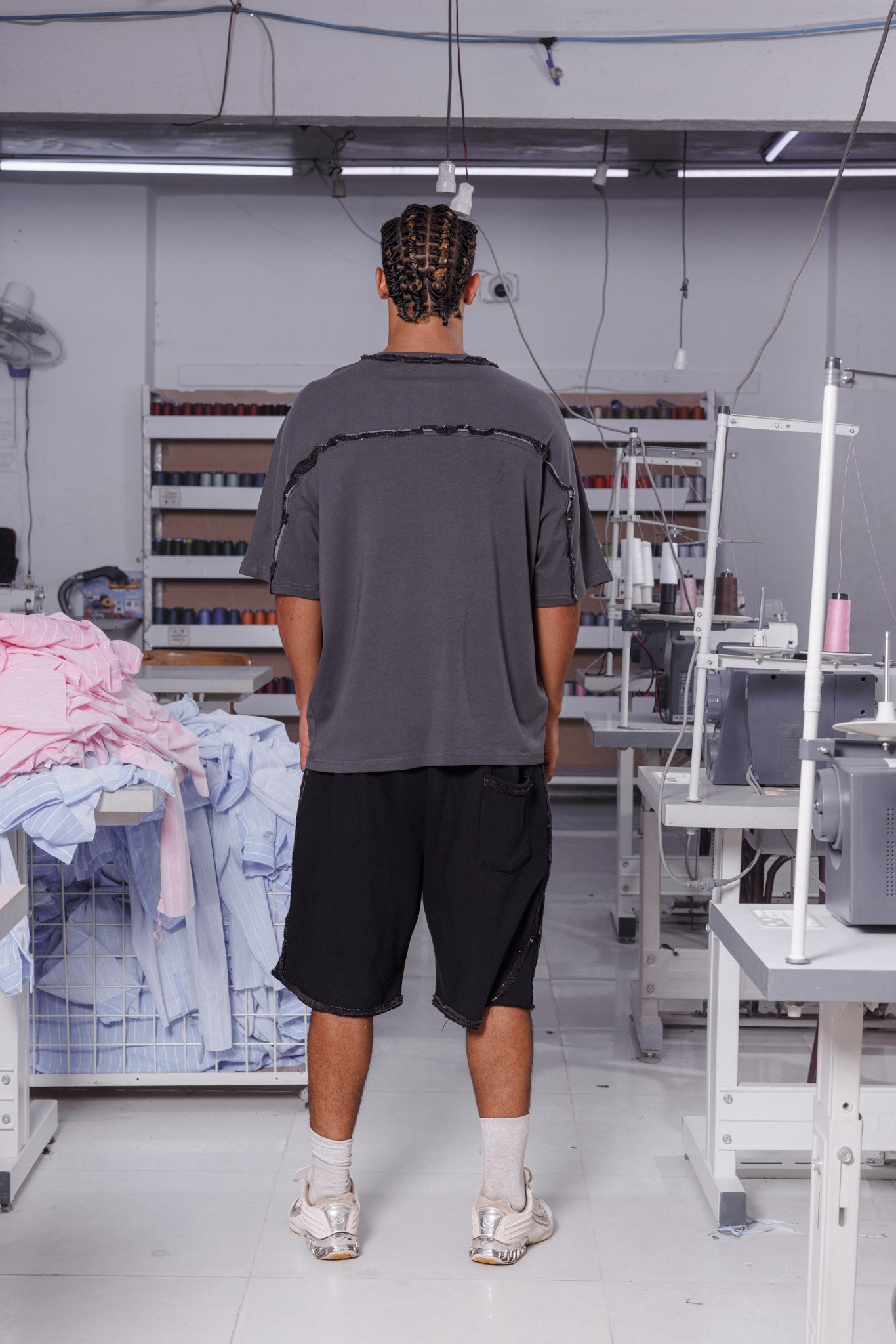 Grey back